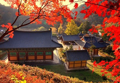 홍천6경 - 공작산 수타사